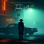 دانلود آهنگ میثم باکمالی تنها نرو