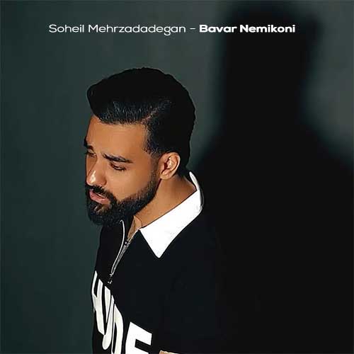 دانلود آهنگ سهیل مهرزادگان باور نمیکنی (دلی)