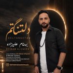 دانلود آهنگ بهنام علیزاده دلتنگتم