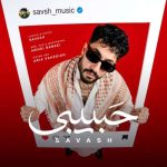 دانلود آهنگ ساواش حبیبی
